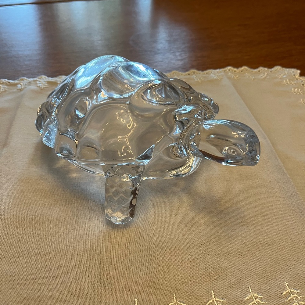 Glass Turtle - Picture 3 of 3
